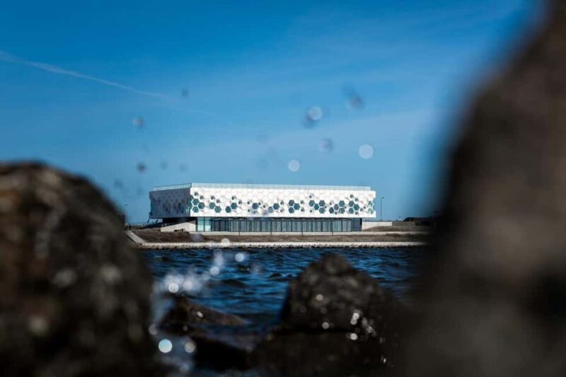Amsterdam: Afsluitdijk & Wadden Center Museum Private Tour - Good To Know