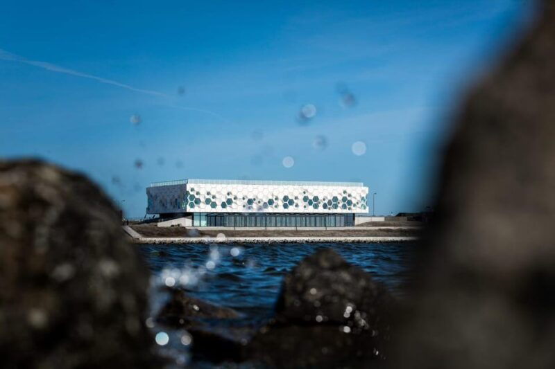 Amsterdam: Afsluitdijk & Wadden Center Museum Private Tour - Exploring the Wadden Center Museum