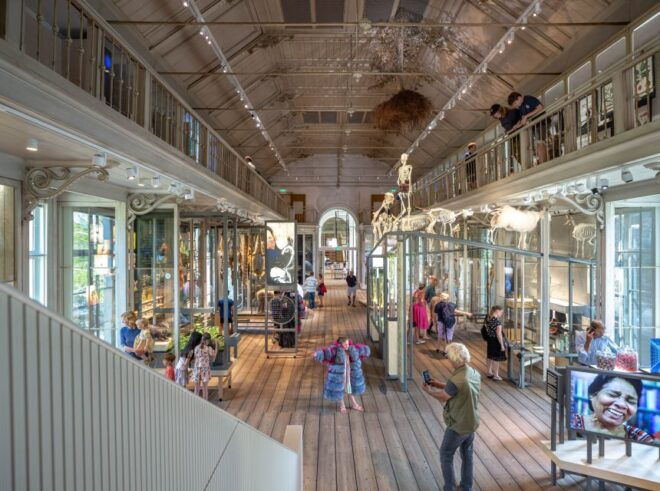 Amsterdam: ARTIS-Groote Museum Entry Ticket - Visitor Review Rating