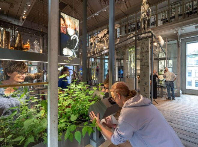 Amsterdam: ARTIS-Groote Museum Entry Ticket - Unique and Educational Experience