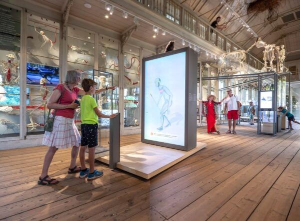 Amsterdam: ARTIS-Groote Museum Entry Ticket - Common Questions