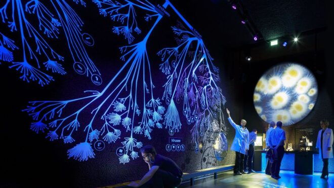 Amsterdam: ARTIS-Micropia Microbe Museum Entry Ticket - Visitor Reviews