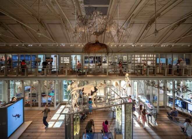 Amsterdam: ARTIS Royal Zoo and ARTIS Groote Museum Ticket - Discovering Interconnectedness in Nature