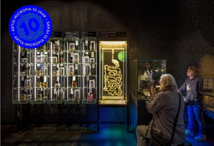Amsterdam: Artis Royal Zoo & ARTIS-Micropia Combo Ticket - FAQ