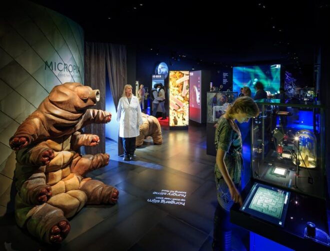 Amsterdam: Artis Royal Zoo & ARTIS-Micropia Combo Ticket - Immersive Experiences at the Exhibitions