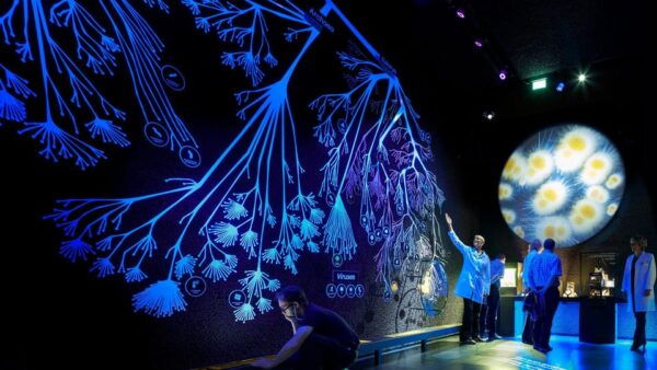 Amsterdam: Artis Royal Zoo & ARTIS-Micropia Combo Ticket - Ticket Details and Cancellation Policy