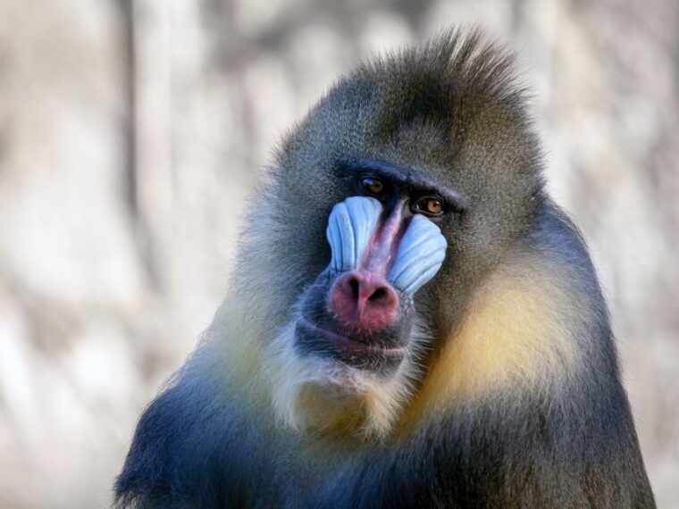 Amsterdam: ARTIS Royal Zoo Entry Ticket - Practical Tips for Visiting