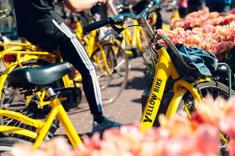 Amsterdam: Bike Rental - Exploring the Experience: What You Can Expect