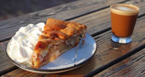 Amsterdam: Bike Tour (Noord) in German or English - The Sum Up