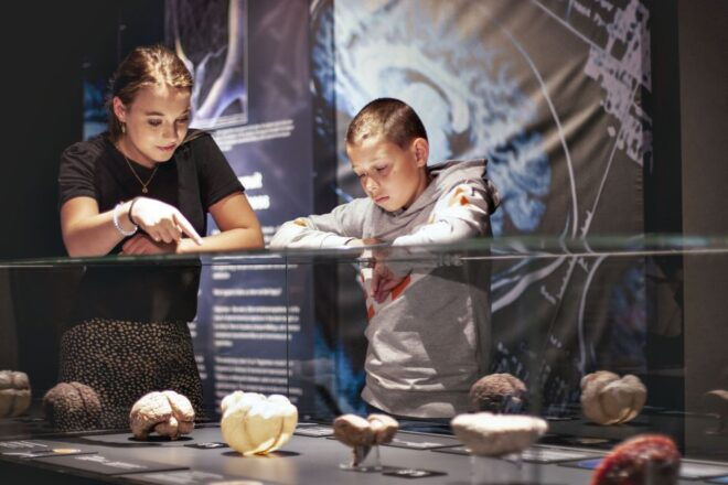 Amsterdam: Body Worlds Exhibition and Canal Cruise - Review Details