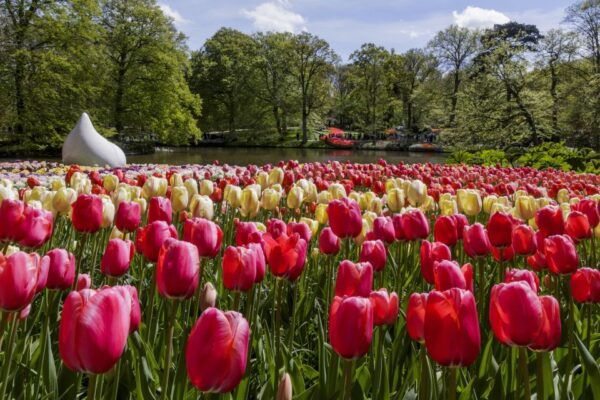 Amsterdam: Canal Cruise & Keukenhof Ticket With Shuttlebus - Meeting Point and Directions