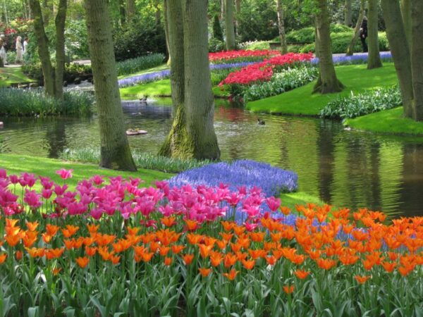 Amsterdam: Canal Cruise & Keukenhof Ticket With Shuttlebus - Common Questions