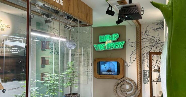 Amsterdam: Cannabis Museum Entry Ticket - Experience