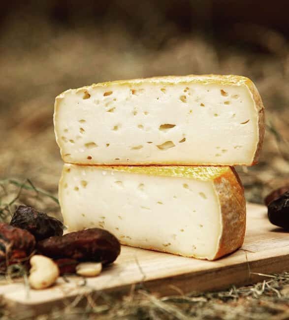 Amsterdam: Cheese Tasting, Windmill & Countryside Bike Tour - The Sum Up