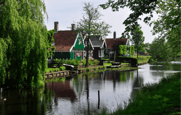 Amsterdam: Cheese, Windmill & Countryside Bike Tour - Authenticity, Reviews & Insights