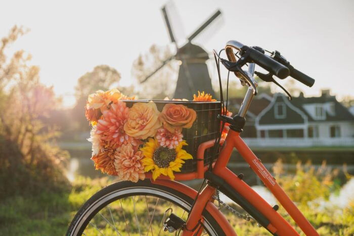 Amsterdam: Cheese, Windmill & Countryside Bike Tour - FAQ