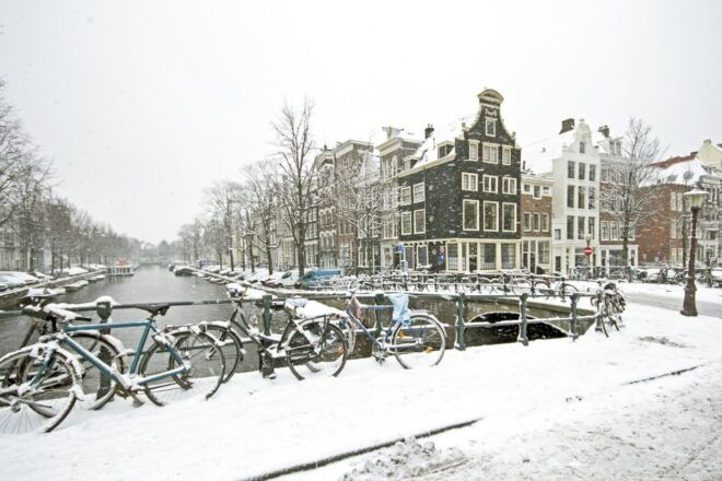 Amsterdam: Christmas Lights and Festive Delights - Festive Treats and Warm Drinks