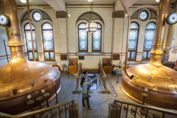 Amsterdam: City Canal Cruise and Heineken Experience Ticket - Common Questions