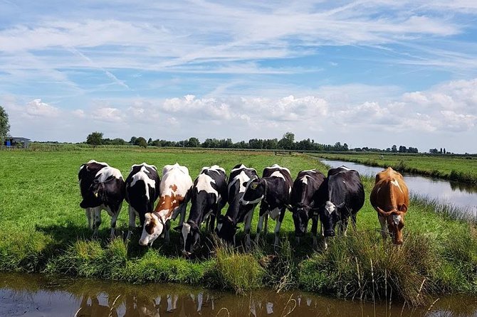 Amsterdam City & Countryside Tour: the Best of Both Worlds - Directions