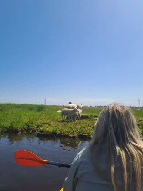 Amsterdam Countryside Bike and Kayak Tour - Activity Details