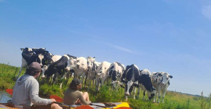 Amsterdam Countryside Bike and Kayak Tour - Tour Highlights