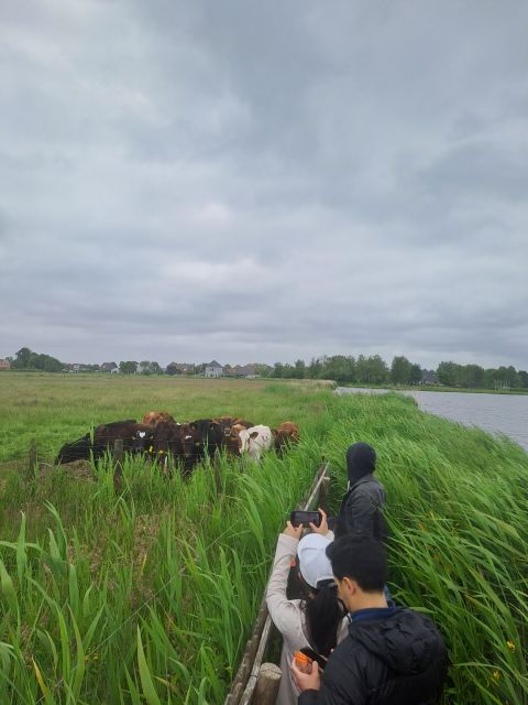Amsterdam Countryside Bike and Kayak Tour - Inclusions