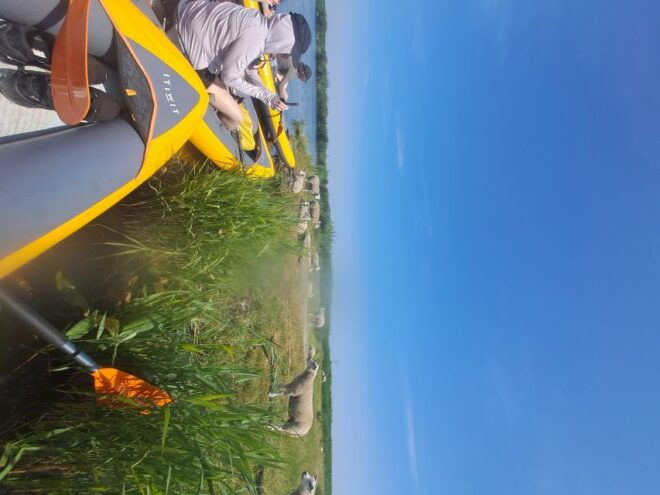 Amsterdam Countryside Bike and Kayak Tour - Meeting Point and Directions