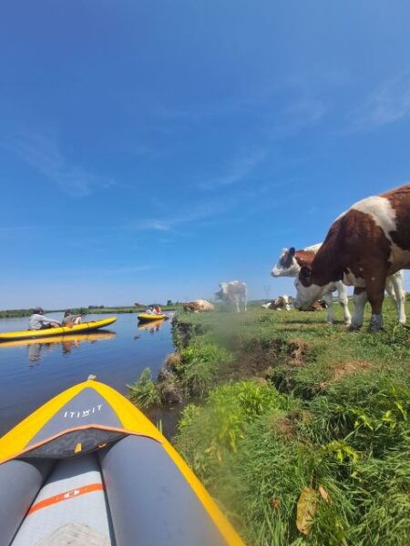 Amsterdam Countryside Bike and Kayak Tour - Customer Reviews
