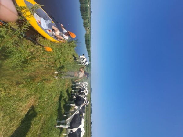 Amsterdam Countryside Bike and Kayak Tour - The Sum Up