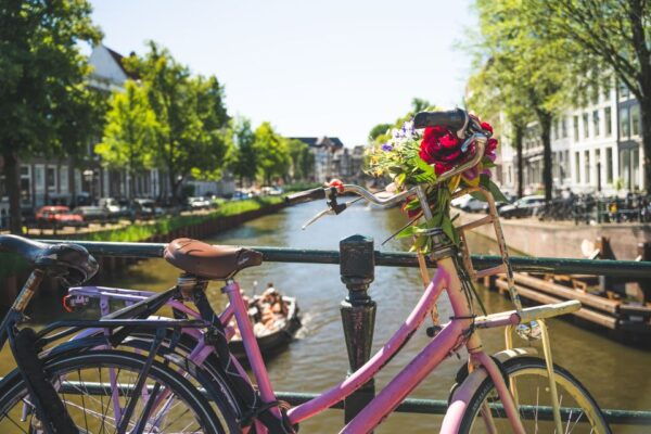 Amsterdam: Countryside Bike Tour - Common Questions