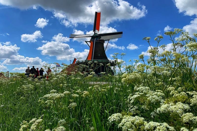 Amsterdam Countryside Half-Day E-Bike Tour - What to know before you book