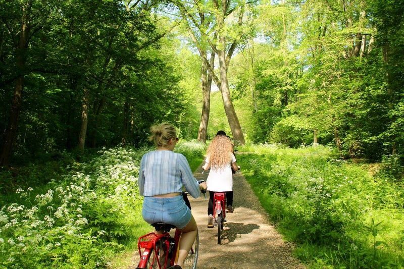 Amsterdam Countryside Half-Day E-Bike Tour - Out of the city and into Waterland