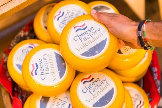 Amsterdam: Day Ticket Public Transport to Waterland Region - Customer Reviews and Feedback