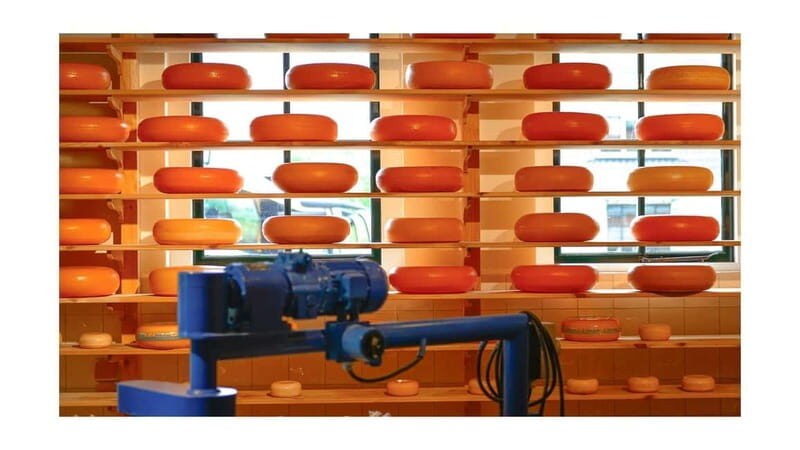 Amsterdam Day Tour: Zaanse Schans, Volendam & Marken - A Practical Introduction to the Tour