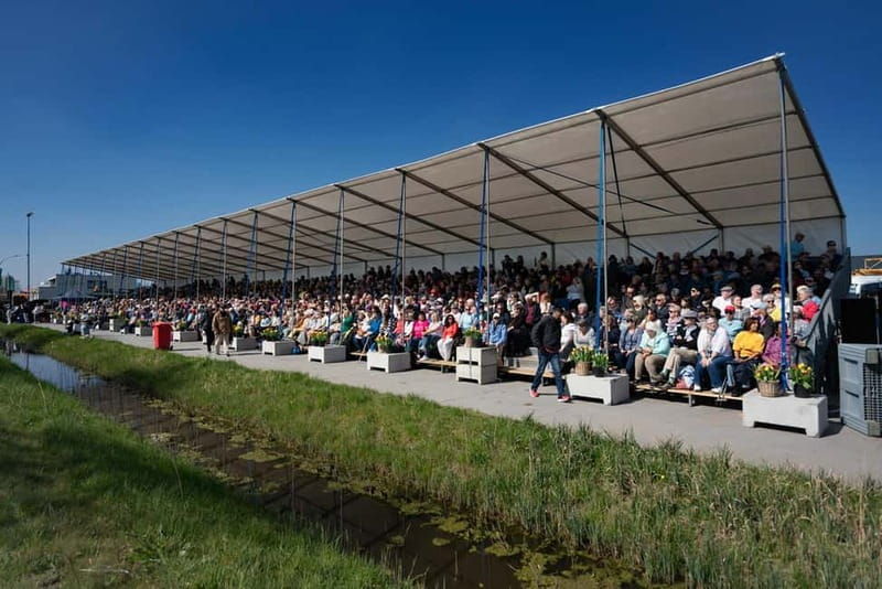 Amsterdam: Day Trip to Flower Parade & Keukenhof on April 18 - An In-Depth Look at the Tour Experience
