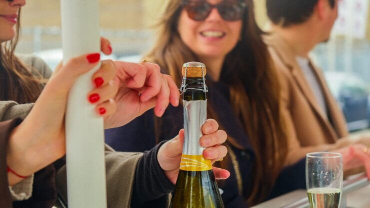 Amsterdam: Dutch Prosecco Party Bike - Highlights of the Experience