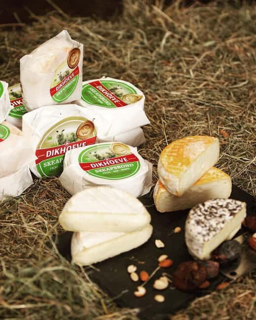 Amsterdam: E-Bike, Cheese, Windmill & Countryside Tour - The Sum Up