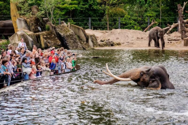 Amsterdam: Entry Ticket to ARTIS Historical Zoo on Old Canal - FAQs