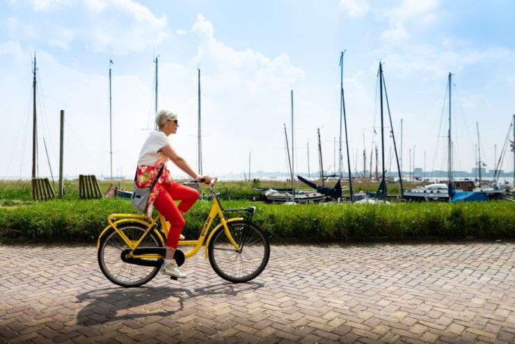 Amsterdam: Explore the Countryside and Villages by Bike - Highlights