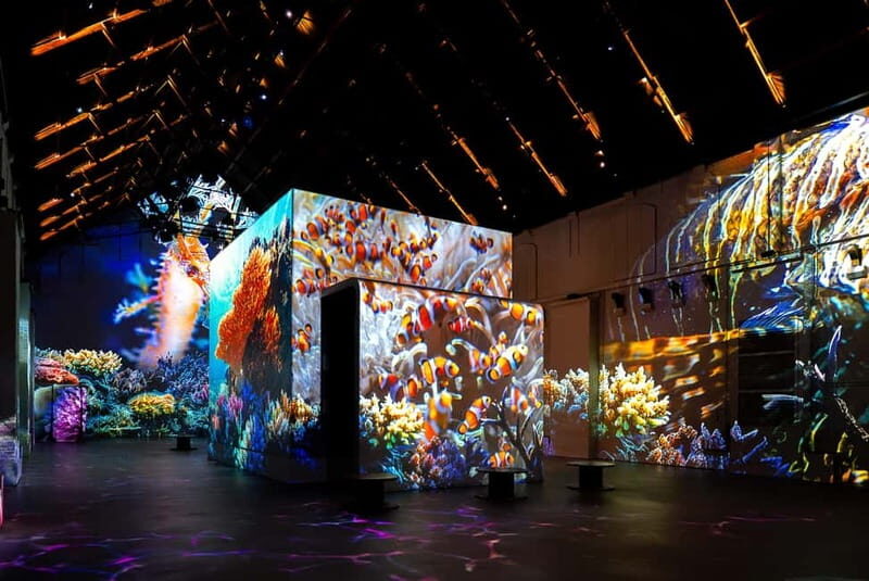 Amsterdam: Fabrique des Lumières The Sea Entry Ticket - The Main Attraction: The Sea Exhibition