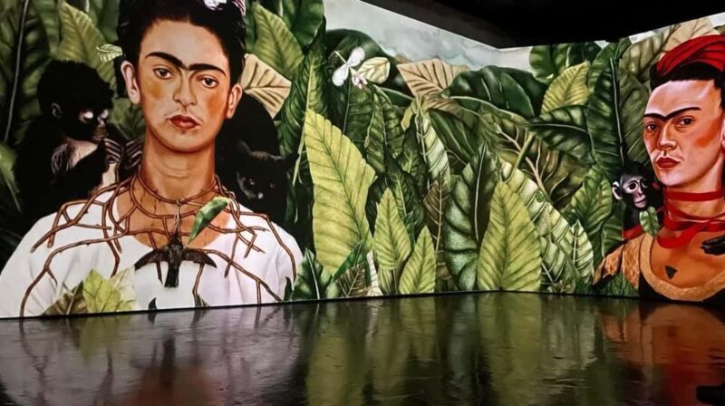 Amsterdam: Frida Kahlo Immersive & Photo Exhibition - Good To Know