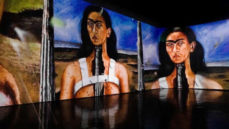 Amsterdam: Frida Kahlo Immersive & Photo Exhibition - Who Will Love This Experience?