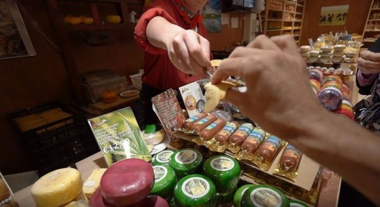 Amsterdam: Full-Day Countryside Tour - Activity Details