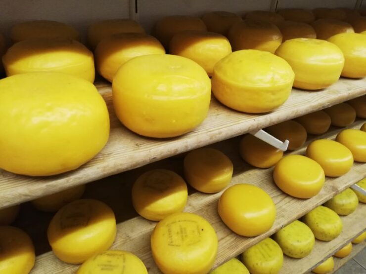 Amsterdam: Full-Day Countryside Tour - Experience