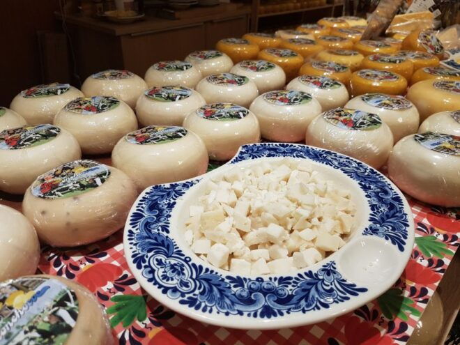 Amsterdam: Full-Day Countryside Tour - Meeting Point