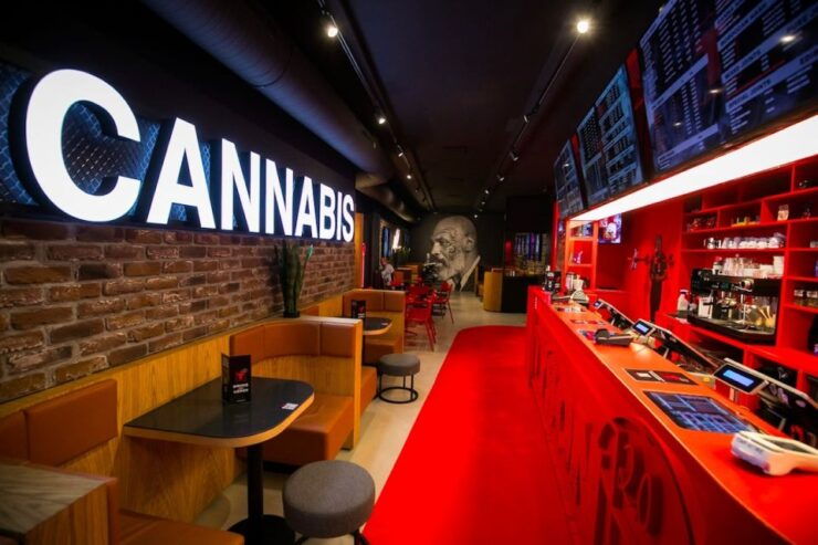 Amsterdam: Guided Ganja Walking Tour of Coffee Shops - Activity Details