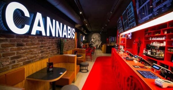 Amsterdam: Guided Ganja Walking Tour of Coffee Shops - Customer Reviews