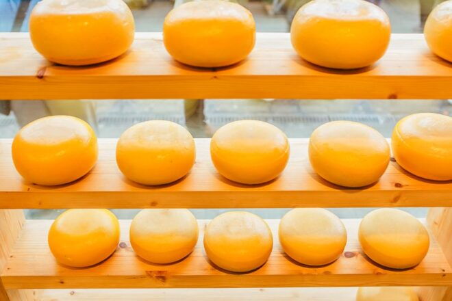 Amsterdam: Henri Willig Cheese Tasting Experience - Customer Reviews and Ratings