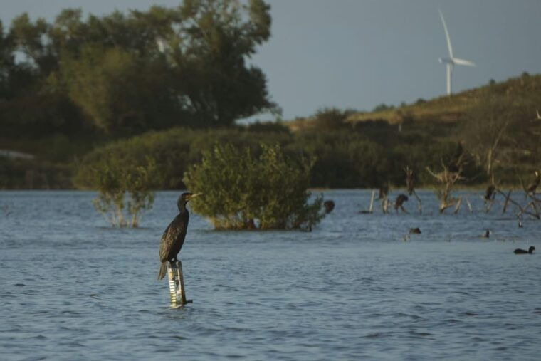 Amsterdam: Hidden Gem Nature & Wildlife Expedition - Who Should Consider This Experience