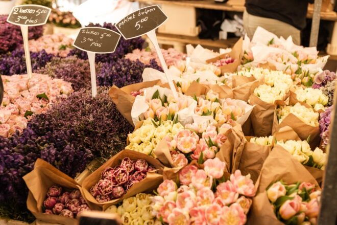 Amsterdam: Highlights & Hidden Gems Private Walking Tour - Local Guide Experience